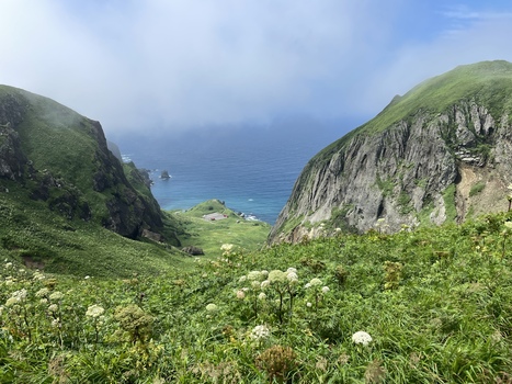 Hokkaido Guide Service 山と自然のガイドオフィス